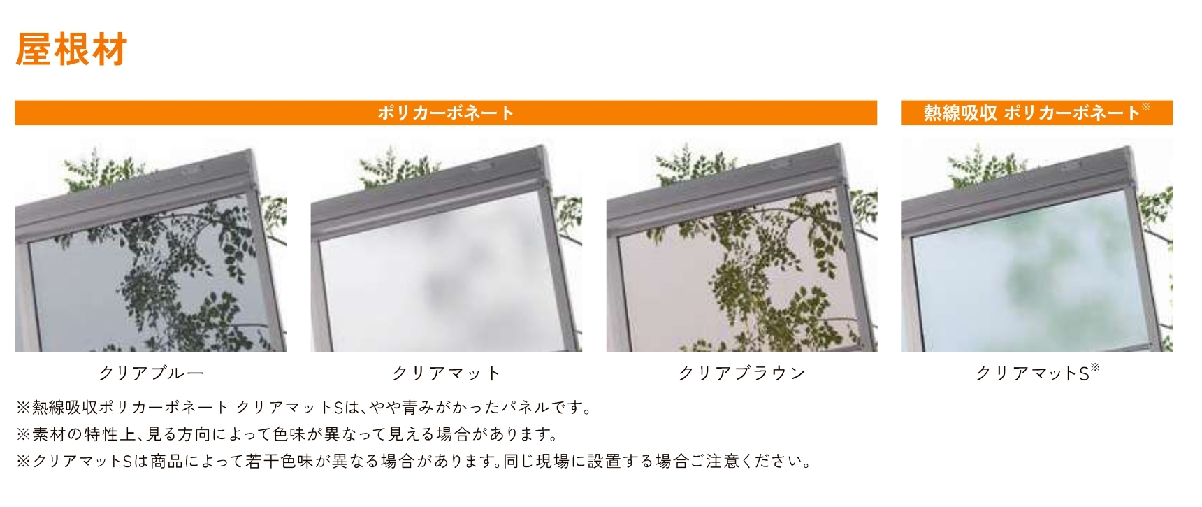 庭まわり